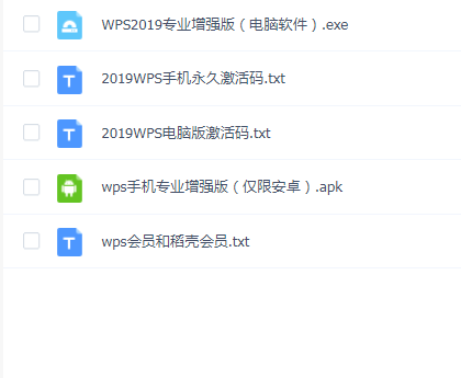 WPS2019专业增强版本
